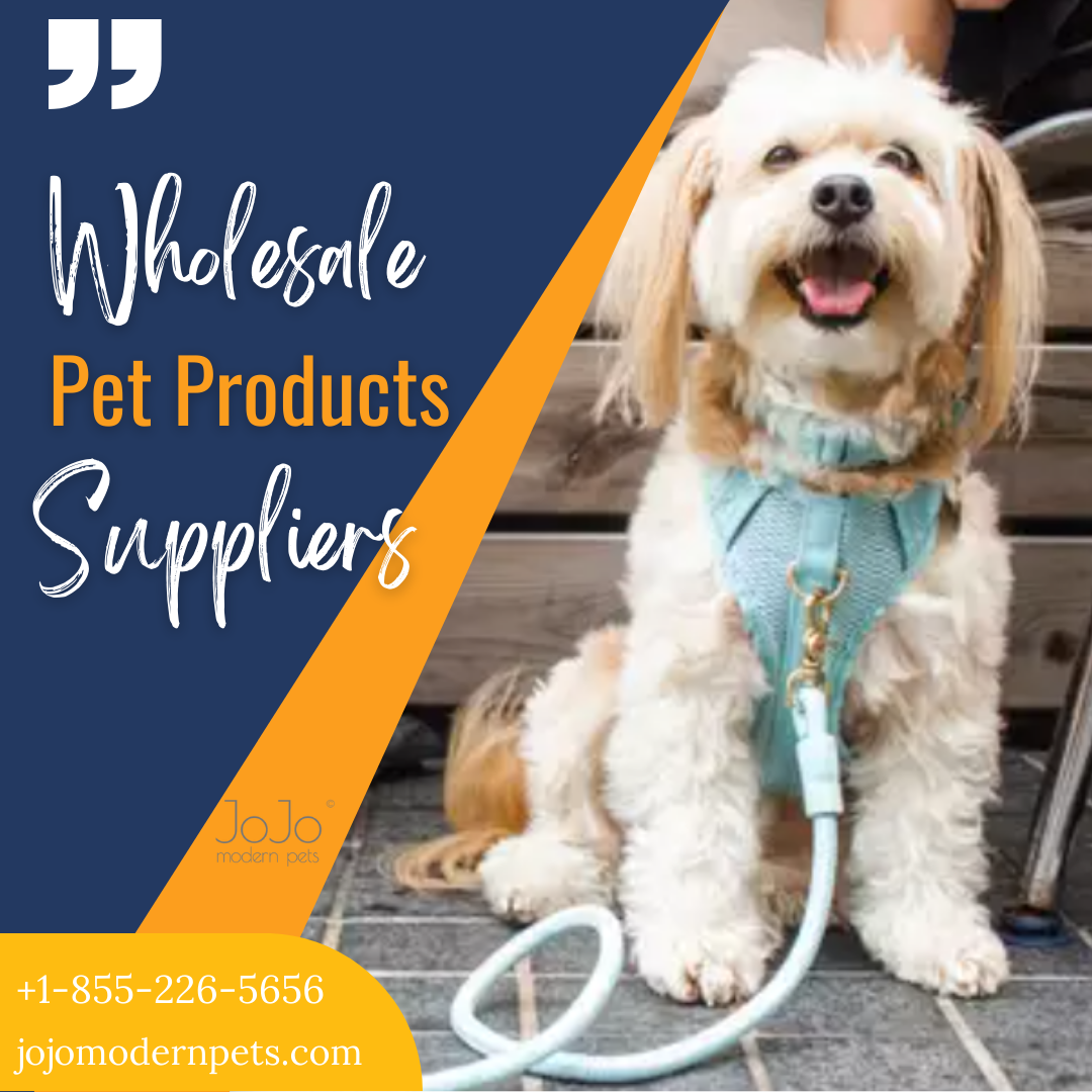 Know the Pet's Perspective - Get Wholesale Supplies Distributor