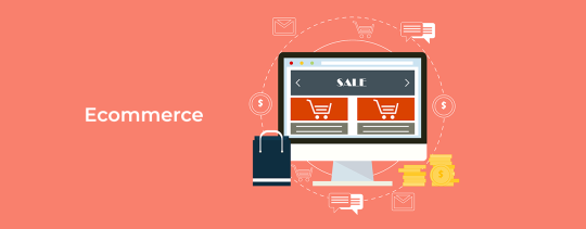 What Should You Ask an eCommerce Development Company?