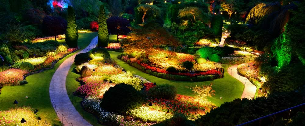 How to Select the Ideal Landscape Lighting for Your House?