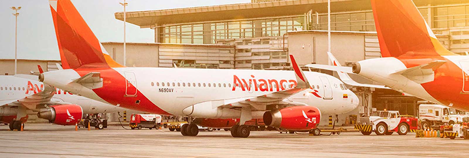 Can I speak to a person at Avianca Airlines?