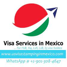 Welcome to Visa Renewal Stamping Services in US Consulates