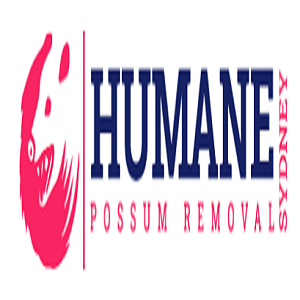 Possum Removal Sydney