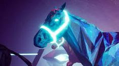 Zed run- the new digital horse racing to race your heart and pocket
