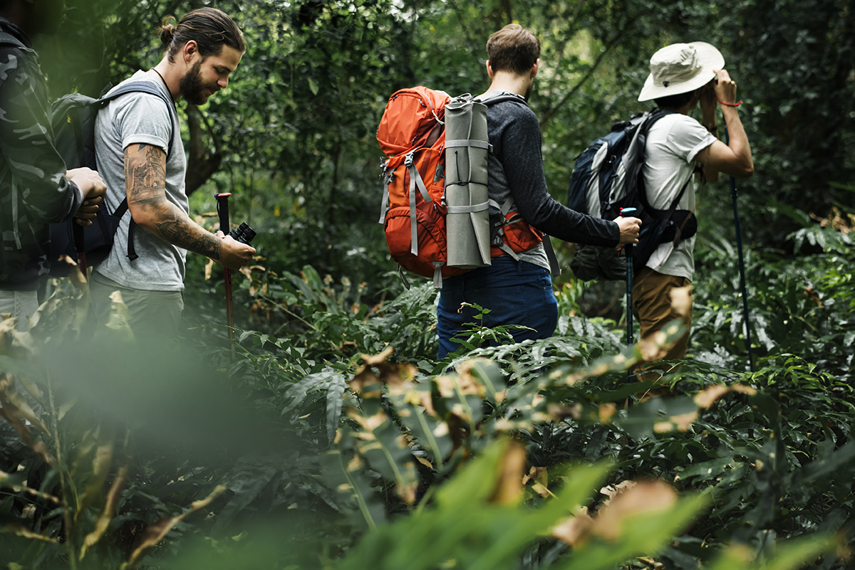 Trekking in Kodaikanal Farm Walk Thapovan Farm stay