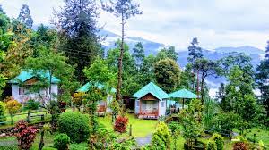 Best Homestay In Kodaikanal Kodaikanal Cottages And Holiday Rentals