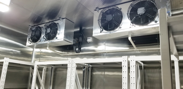 Need of Cold Storage During the Pandemic Era!