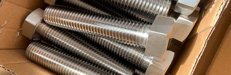Cupro Nickel 70/30 Carriage Bolt Manufacturer