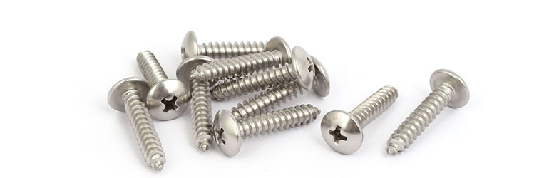 What Are The Different Type Of Copper Nickel 70 30 Screws