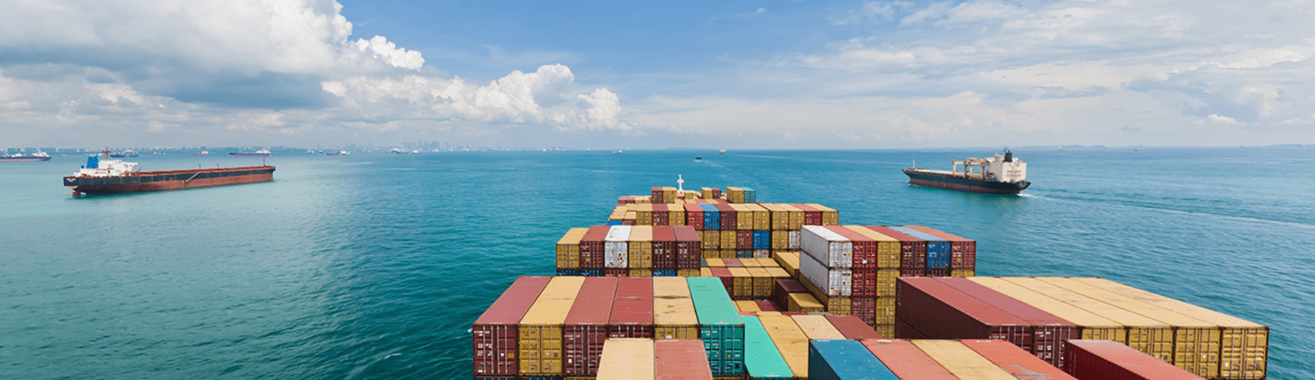 WE TAKE YOUR SEA FREIGHT SHIPPING FROM CHINA TO USA