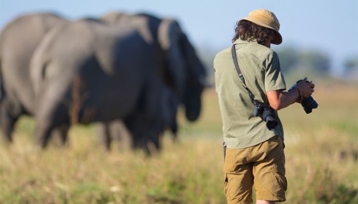 Guide on Post-Processing in Photography