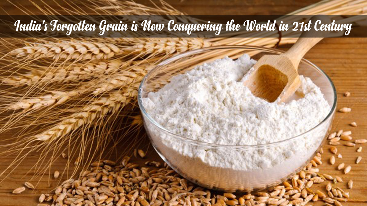 Year Of Millets: India's Forgotten Grain is now Conquering the World in 21st century