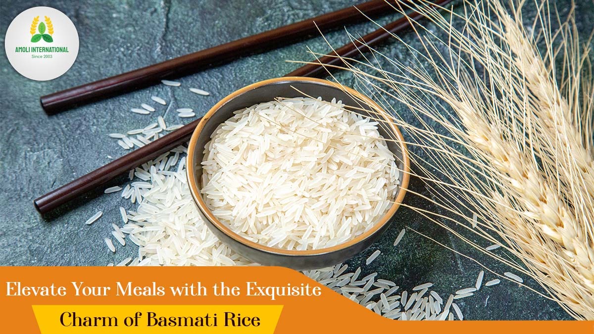 Elevate Your Meals with the Exquisite Charm of Basmati Rice