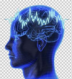 Brain Fingerprinting Technology Market 2020 Size, Growth Factors & Forecast Report to 2028