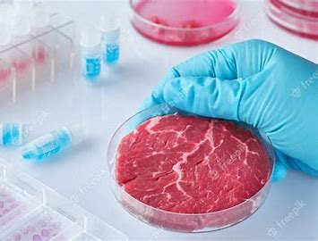 Artificial Meat Market Analysis, Share, Size, Trends, Industry Analysis Report To 2028
