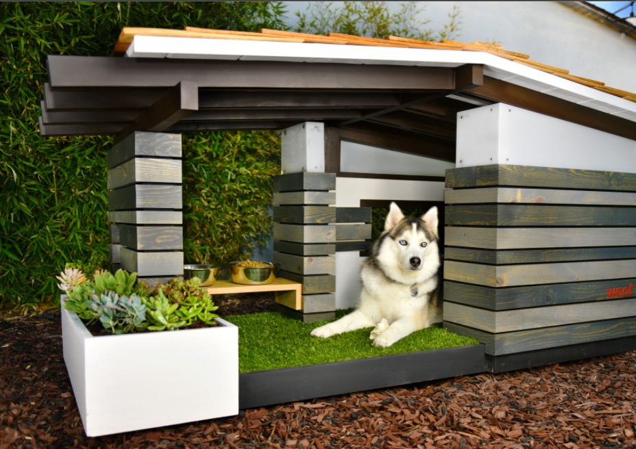 A Different Perspective on Sharing a Home with Pets: Petguin