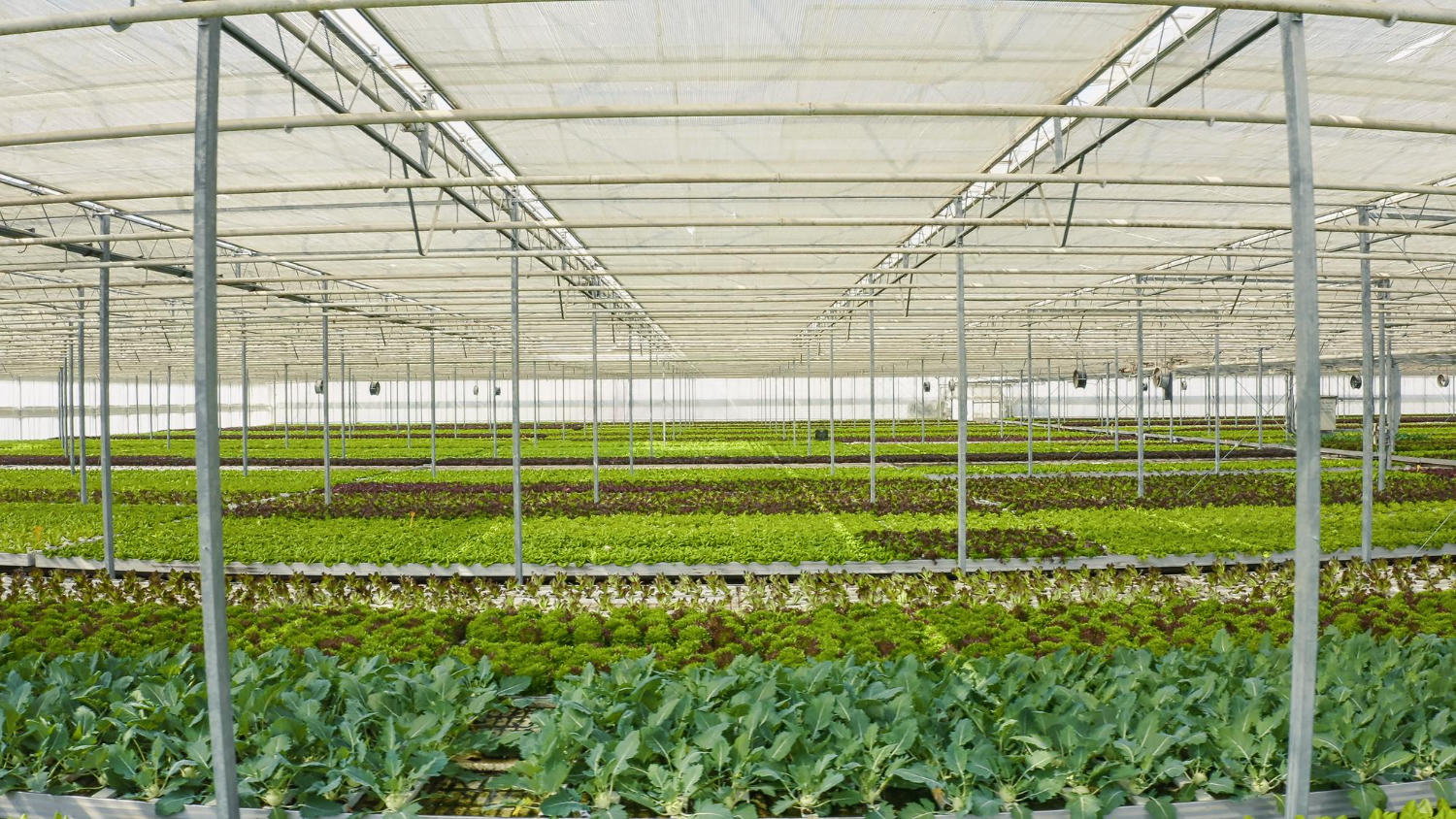 Agricultural Films Market witnesses a tremendous growth and is projected to reach $16.09 billion in 2027 - BIS Experts