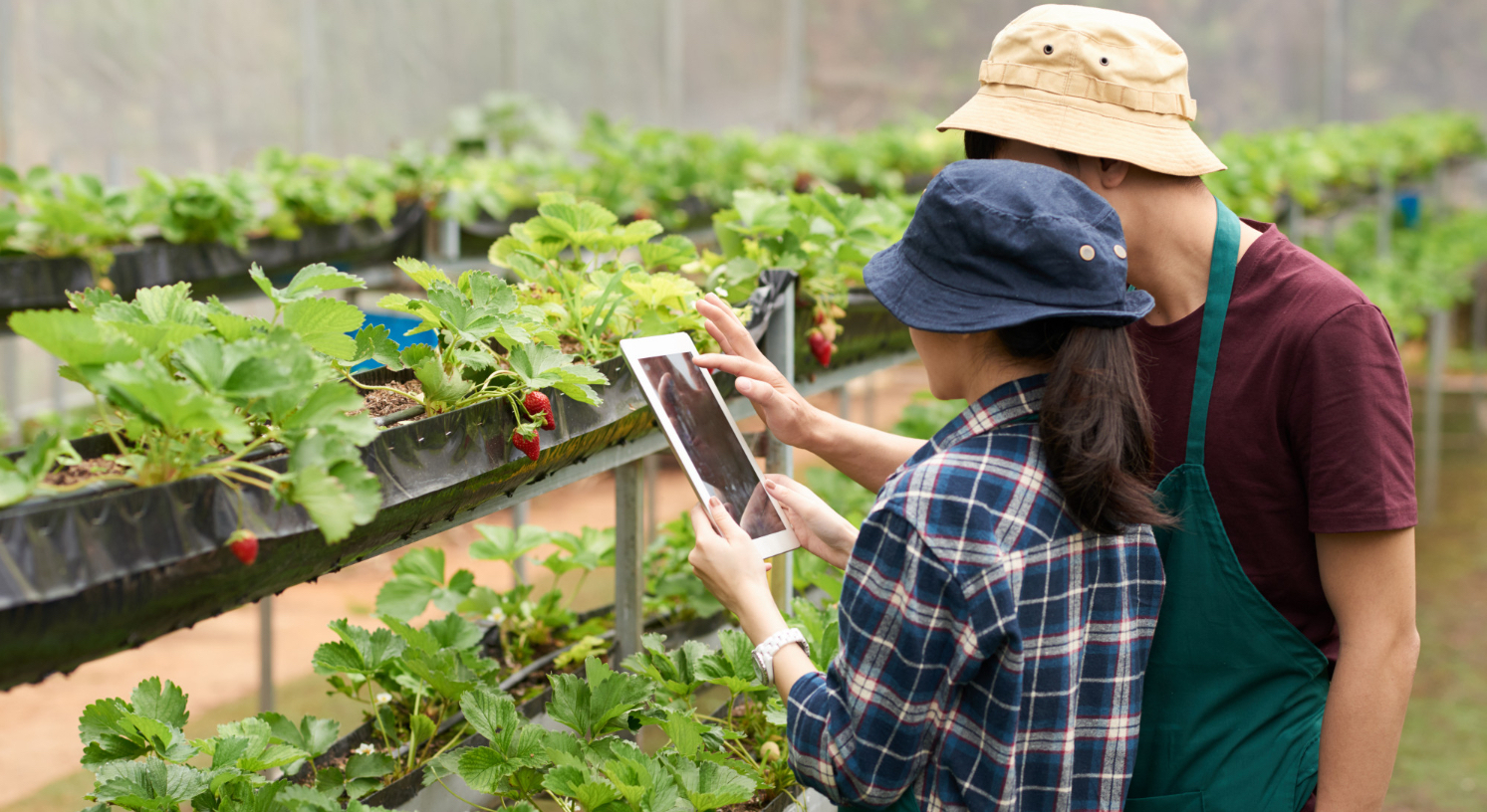 Agricultural Sensors Market is projected to reach $9.79 billion by 2026 growing with a CAGR of 15.4% - BIS Reports
