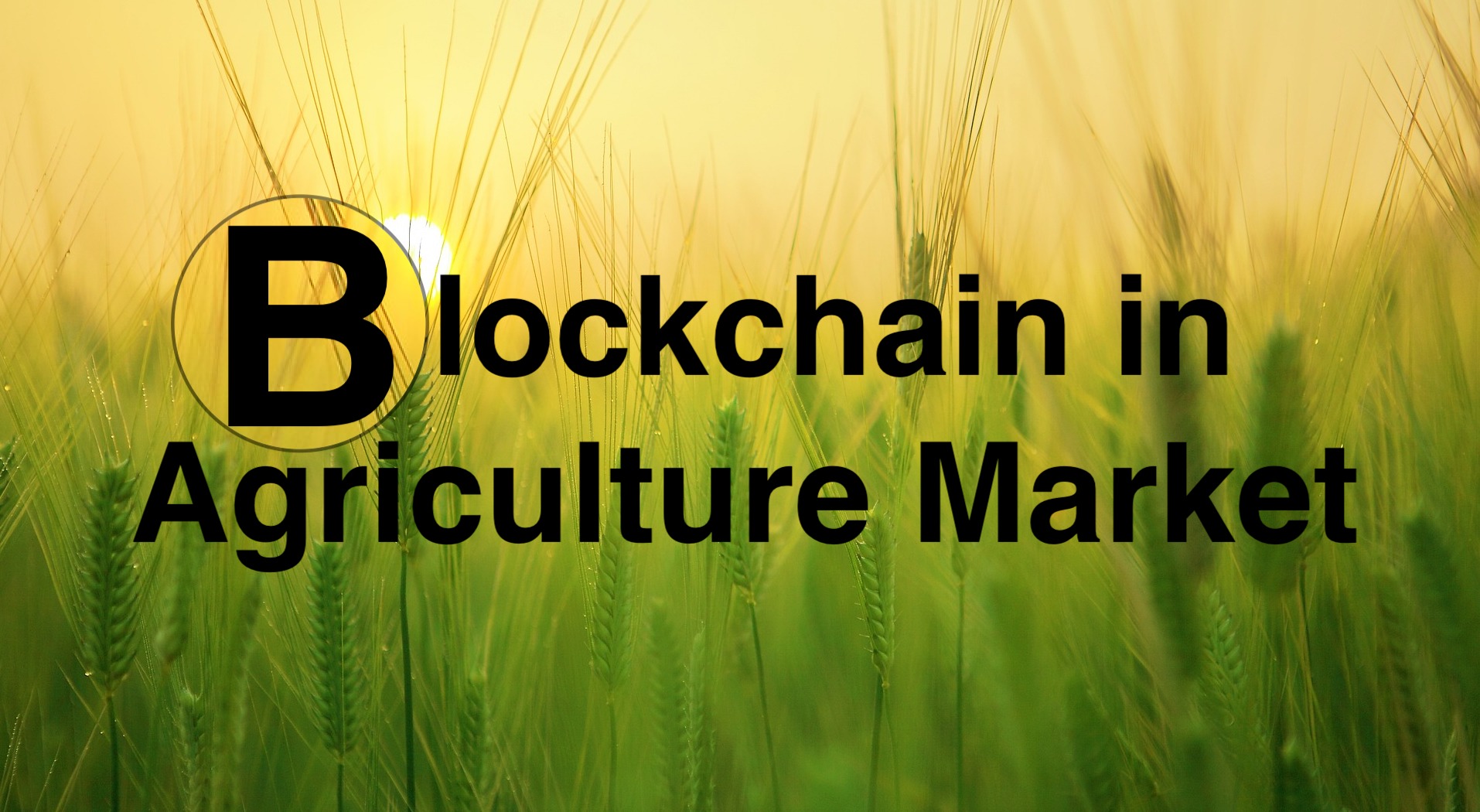 Blockchain in Agriculture Market witnesses an immense growth and is expected to reach $1,488 million by 2026, Growing with a CAGR of 51.0%