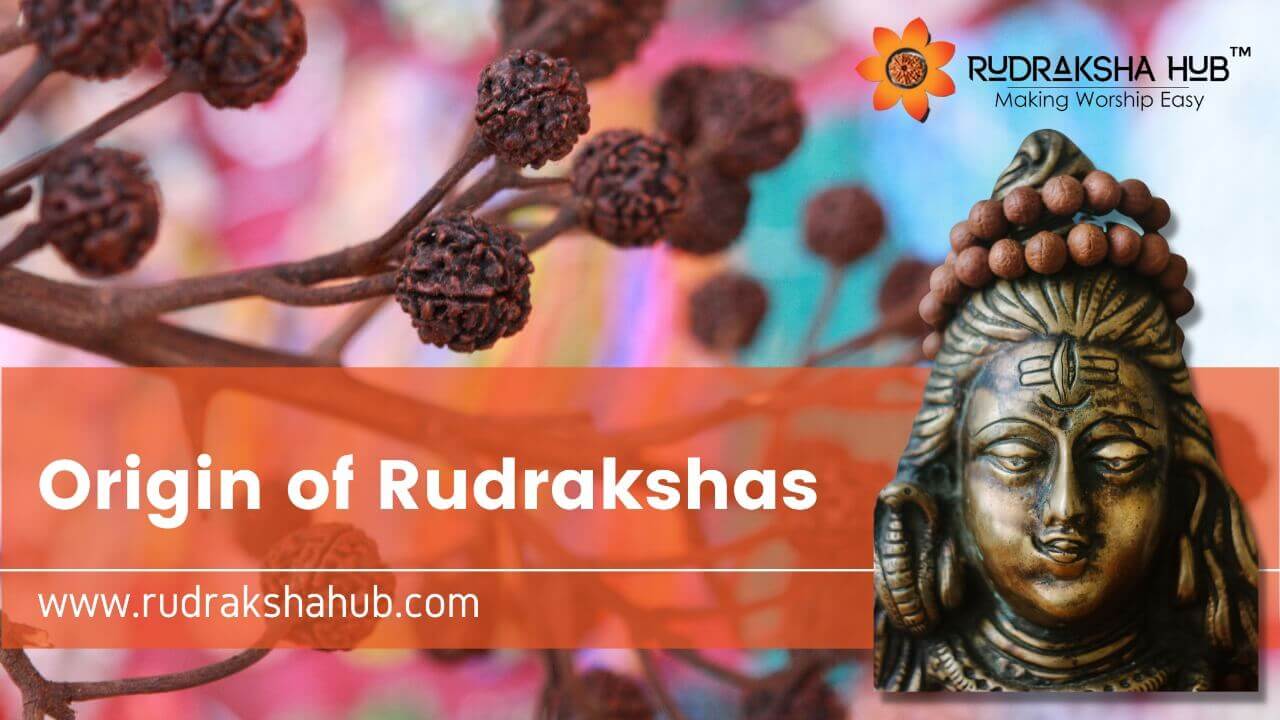 Origin Of Rudraksha: The Tears of Lord Shiva