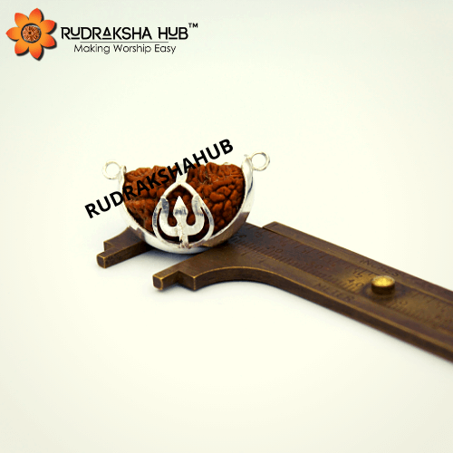 Ek Mukhi Rudraksha Original