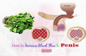 Signs And Symptoms Of Bad The Circulation Of Blood In Illinois
