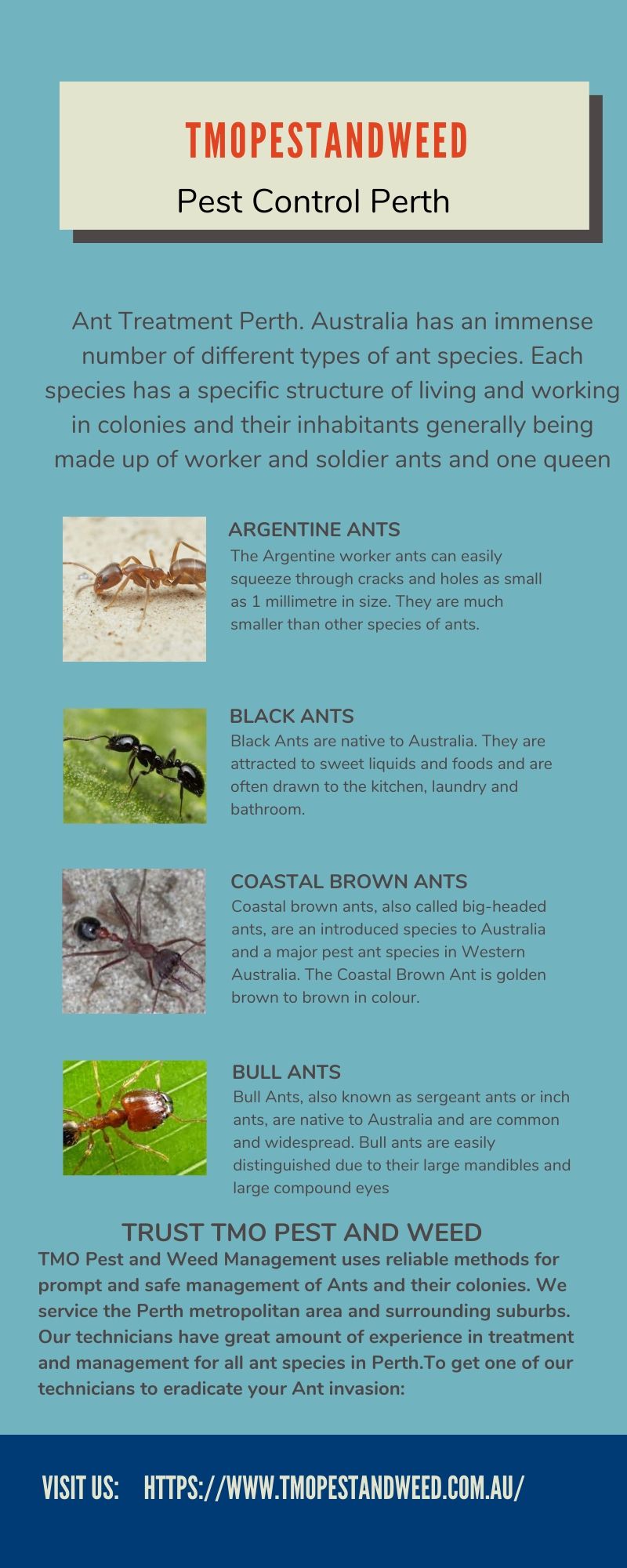 Pest Control Perth