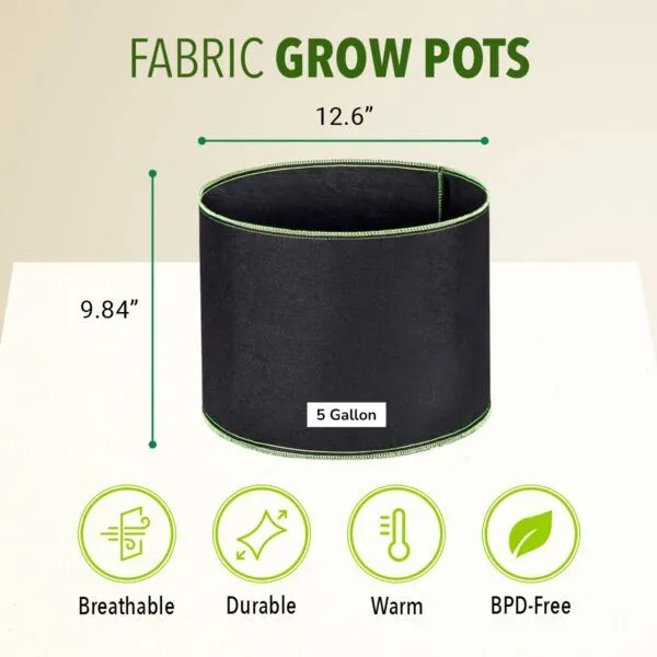 Unlocking the Potential of 3-Gallon Fabric Pots