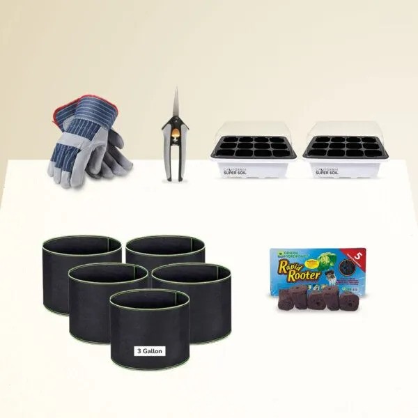 Eco-Friendly Cultivation: Sustainable Gardening with 3-Gallon Fabric Containers