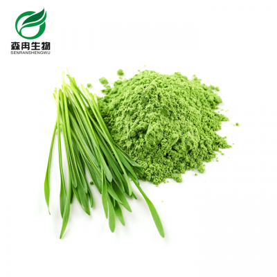 Barley Grass Powder Supplier Claims it to be Beneficial