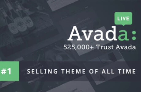 Nulled Flatsome Theme-Use the different features