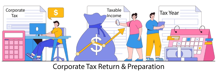 Corporate Tax Consultant