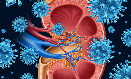 Causes and Risks Factors of Kidney Cancer