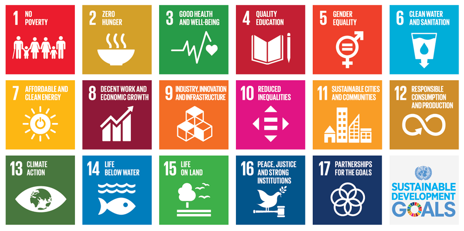 The SDG's: How far have we gone achieving them?