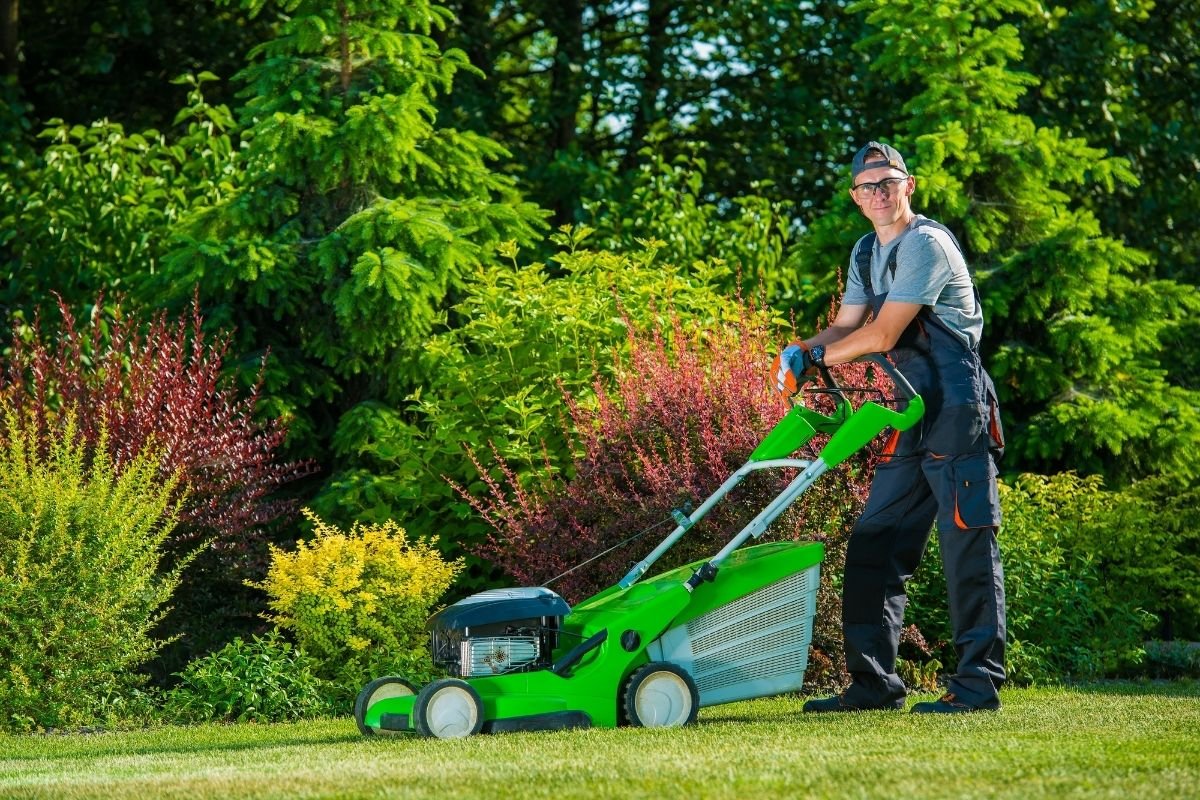 Top Lawn Care Services for a Perfect Green Lawn
