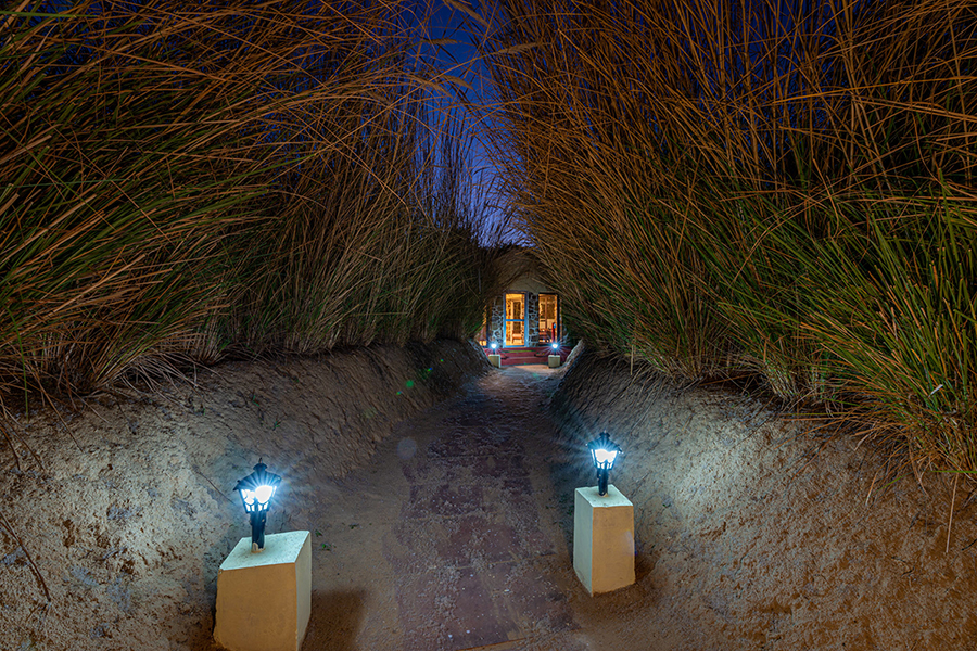 Top Reasons to visit Jungle Cave in Ranthambore