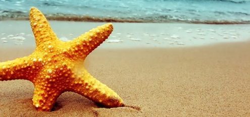 Fort Myers Beach Real Estate