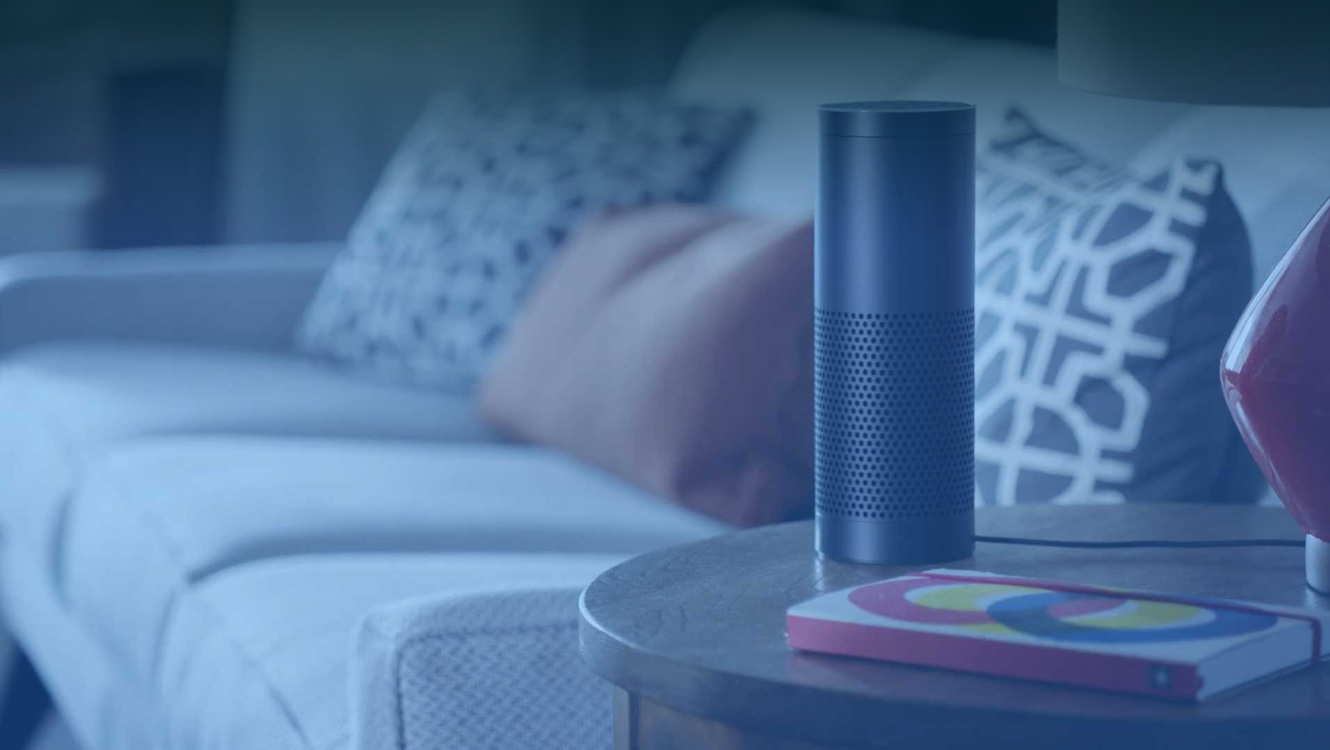 How Can a Voicebot Designer Solve all the Voicebot Deployment Problems?