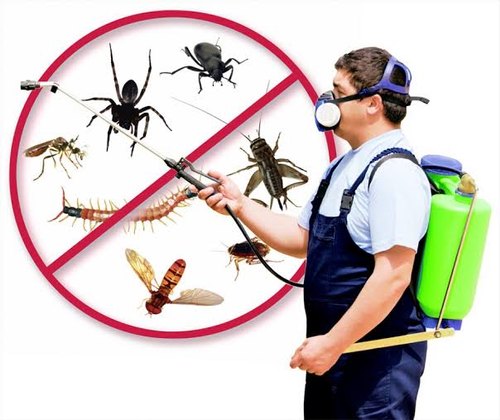 Global Pest Control Market 2022 - Top Key Players Analysis Report Till 2028