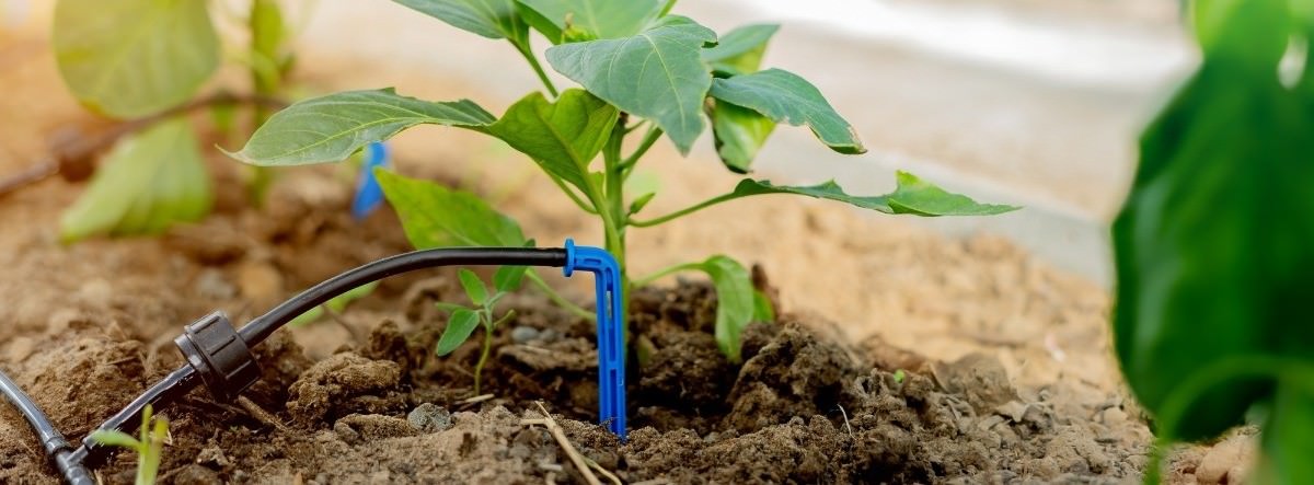 Micro Irrigation Systems Market Report, Latest Trends, Industry Opportunity & Forecast