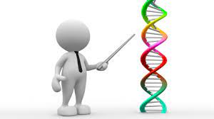 Epigenetics Market Size, Share, Growth, Opportunities and Global Forecast to 2028