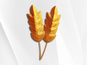 Wheat Zoomer Test and MRT Food Sensitivity Test