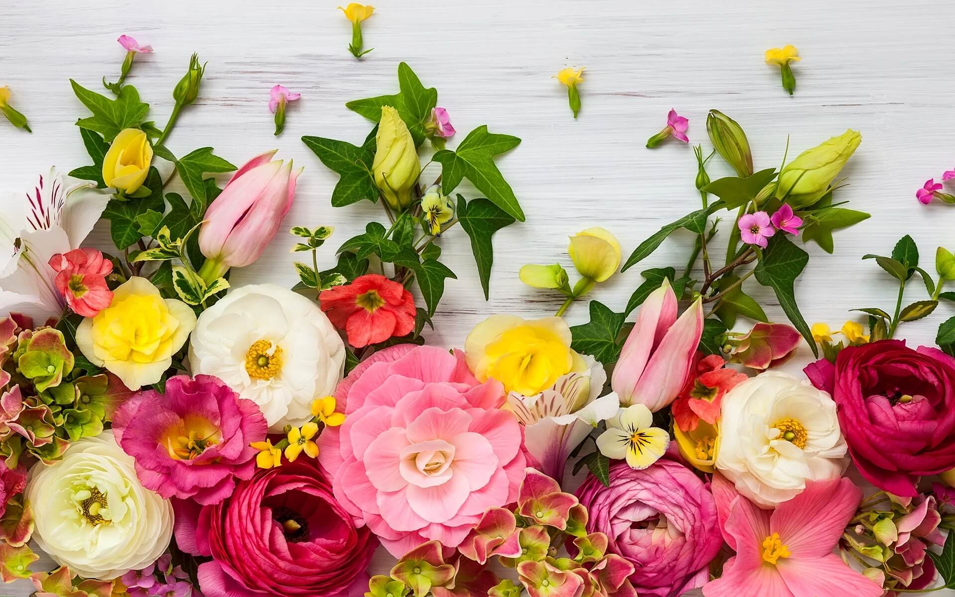 Best Answer for How Can I Find Online Flowers Near Me
