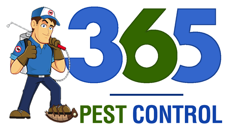 Best Pest Control in Tarneit