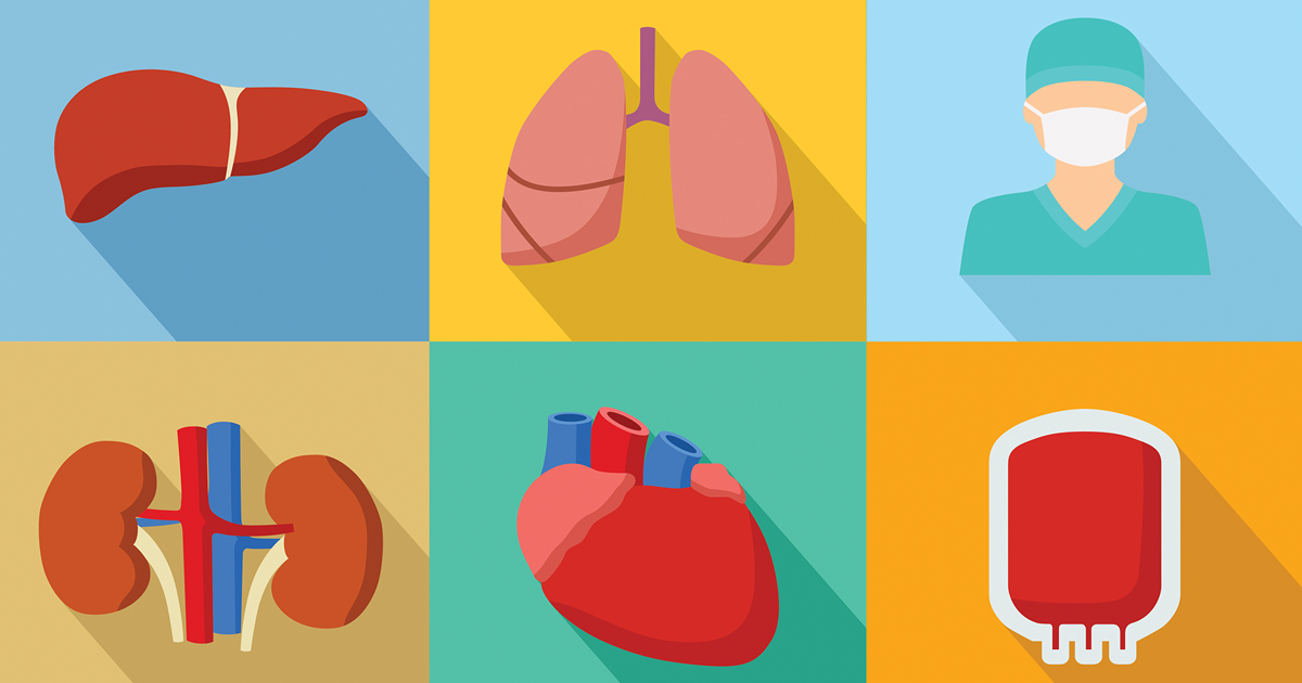 Global Organ and Tissue Transplantation Market 2022: COVID-19 Impact Analysis and Industry Forecast Report, 2028