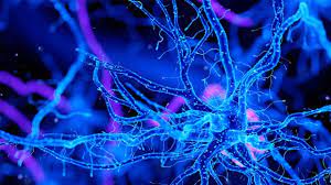 Neuroscience Market Size, In-depth Analysis Report and Global Forecast to 2028