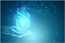 Organ Care Products Market Size, Key Players Analysis And Forecast To 2028 | Value Market Research
