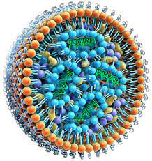 Global Lipid Nanoparticle Market Report, Latest Trends, Industry Opportunity & Forecast to 2028