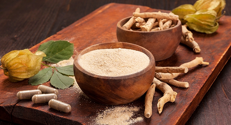 Ashwagandha Extract Market 2022 Major Key Players and Industry Analysis