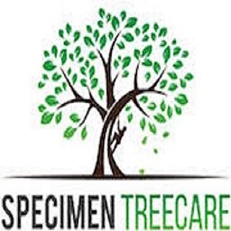 Arborist auckland