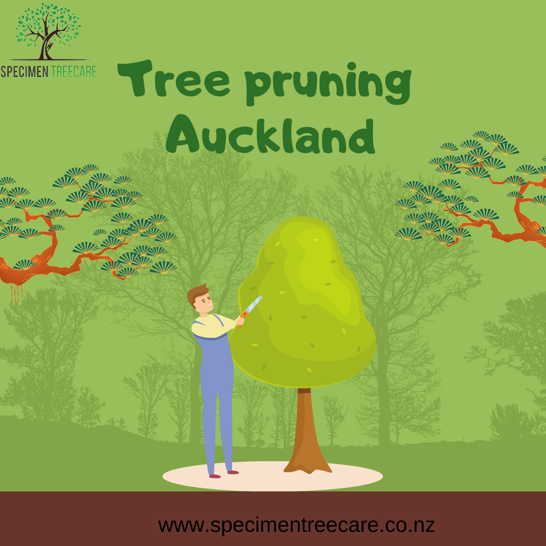 Tree pruning Auckland